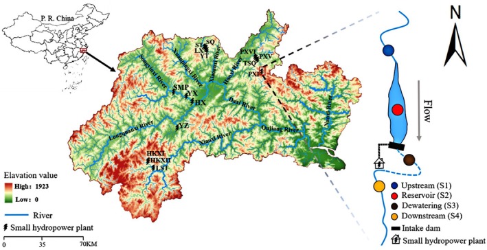 FIGURE 1