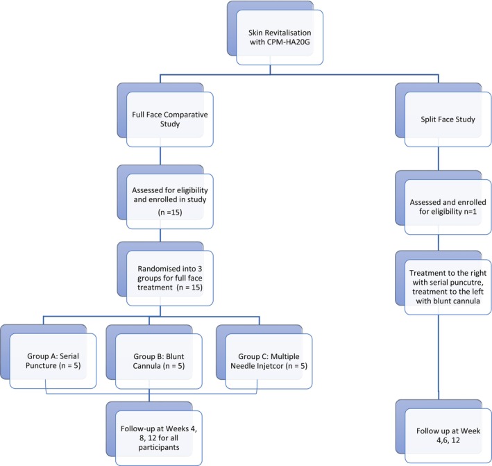 FIGURE 4