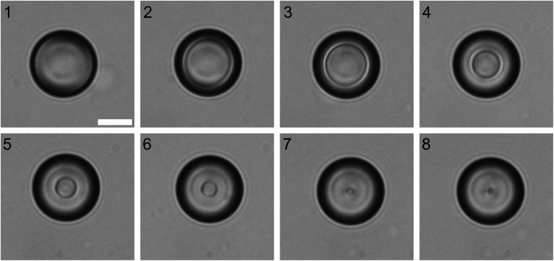 Fig. 4