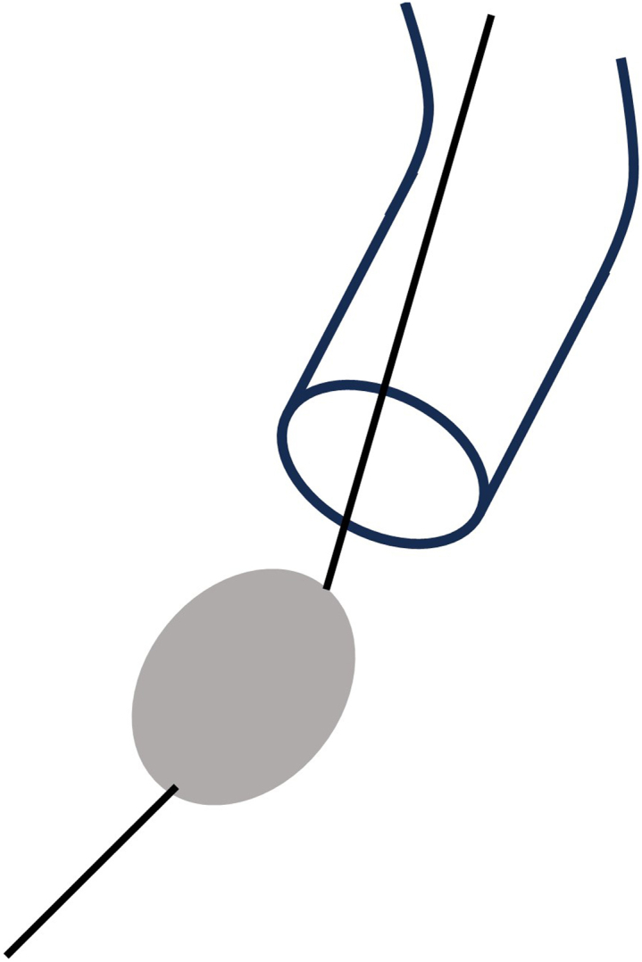 Figure 8