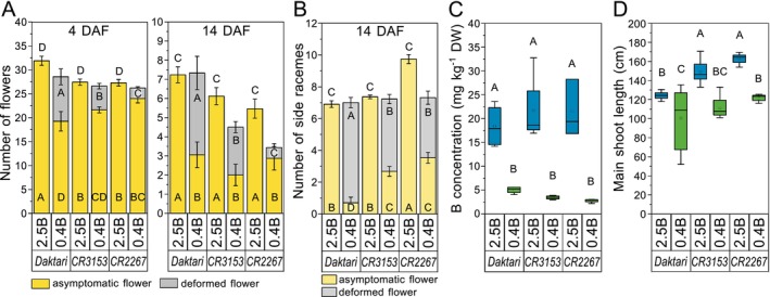 FIGURE 3