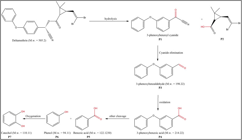 Fig. 9