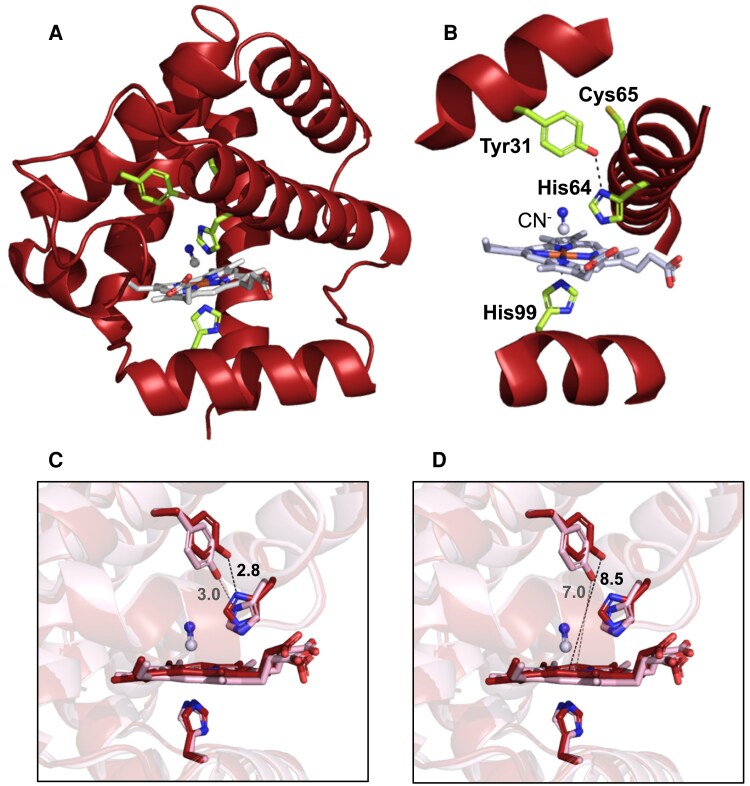 Fig. 6