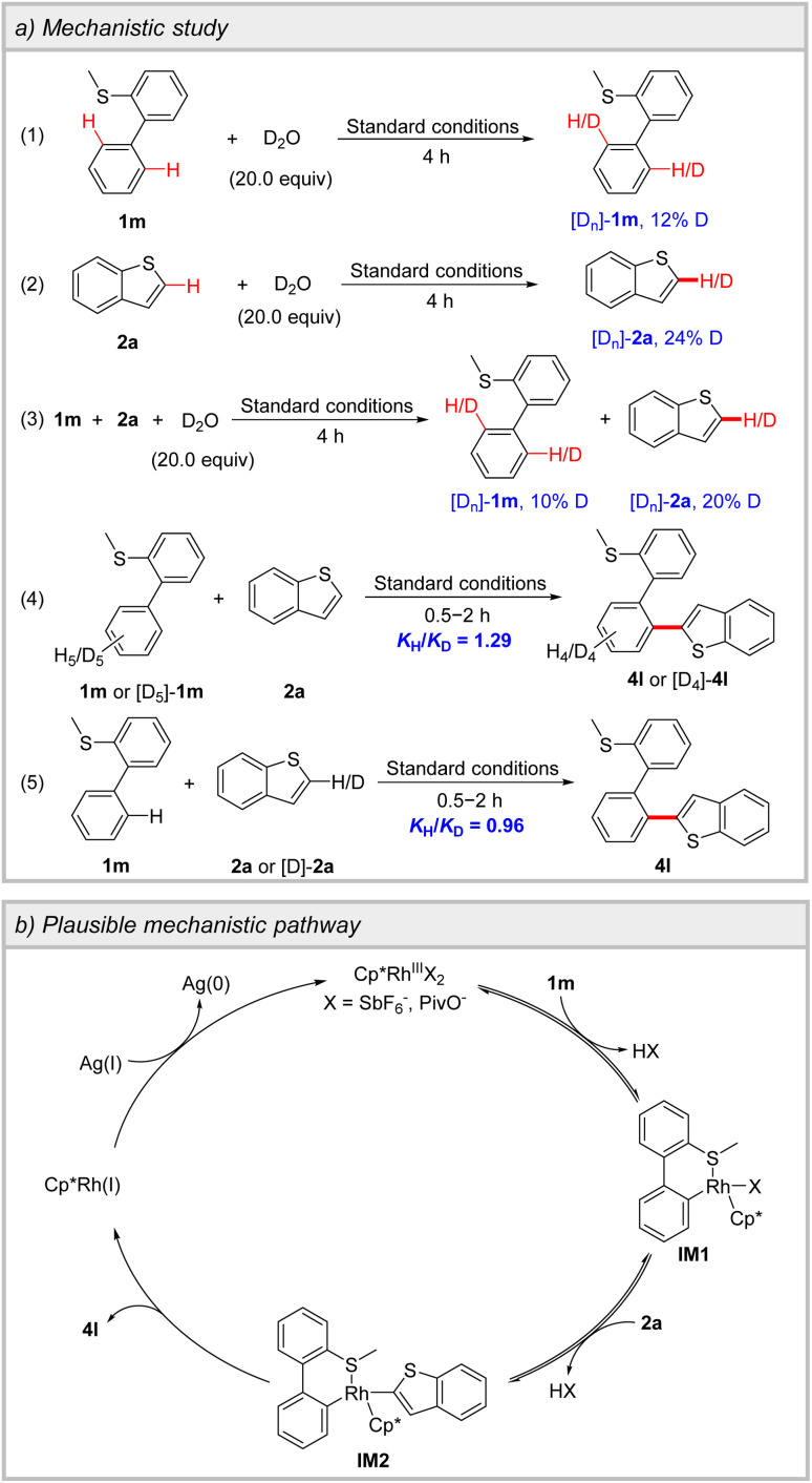Scheme 3