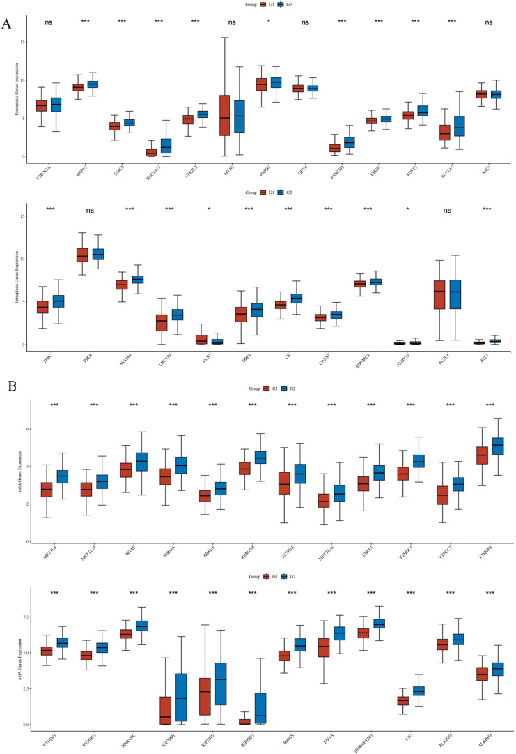 Fig. 12