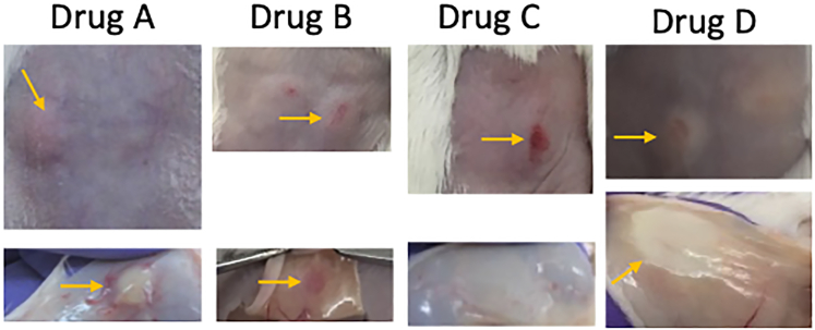 Figure 6