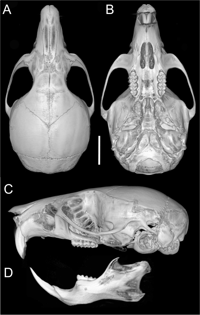 Figure 13