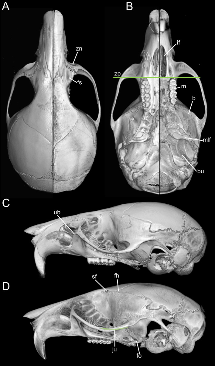 Figure 16