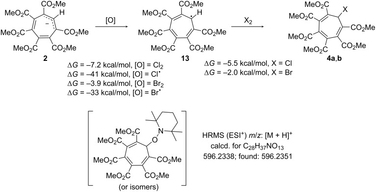 Scheme 3