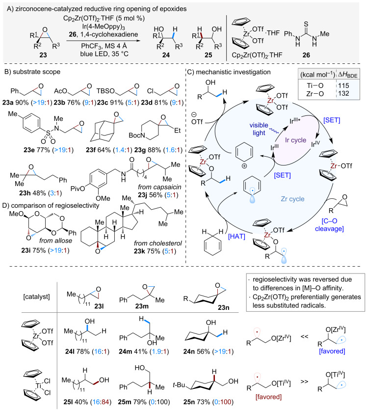 Scheme 5