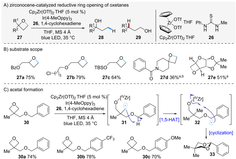 Scheme 6