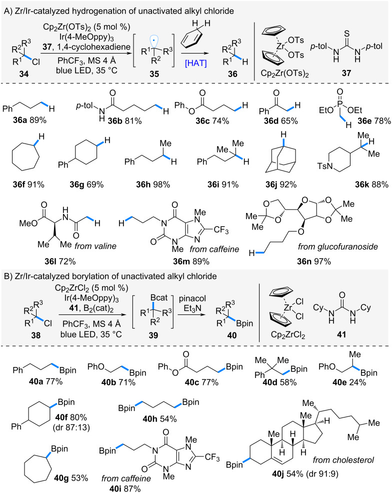 Scheme 7