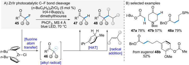 Scheme 9