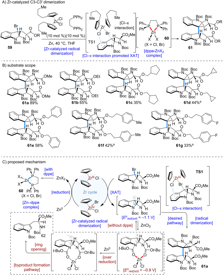 Scheme 12