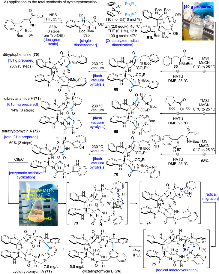 Scheme 14