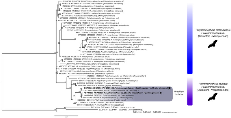 FIGURE 4