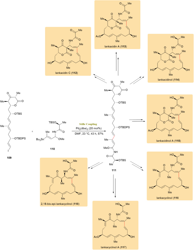 Scheme 29