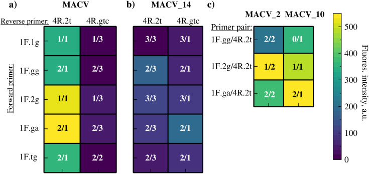 Fig 5