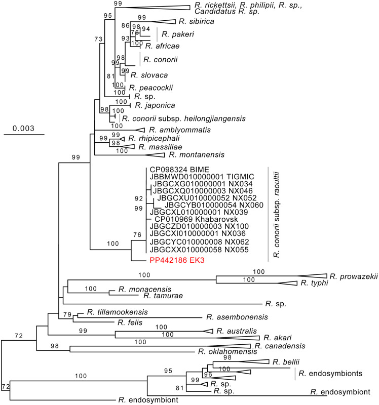 Fig 1