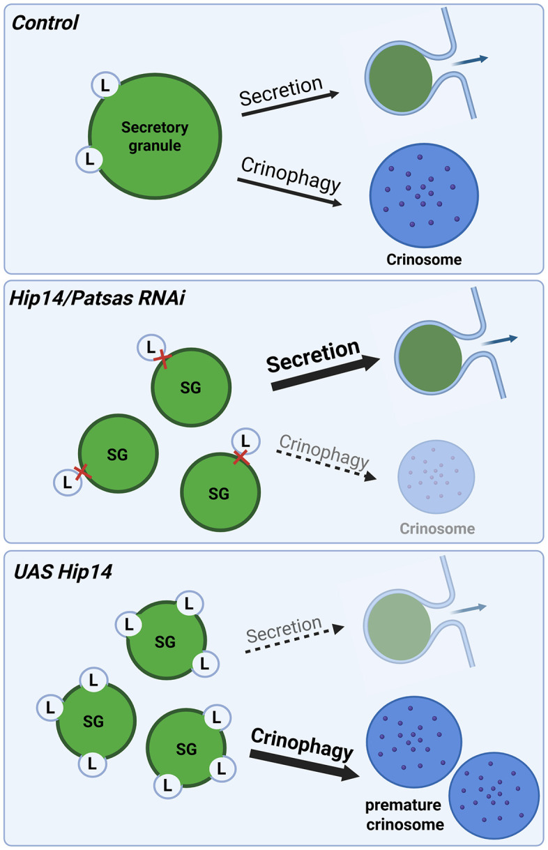 Fig 10
