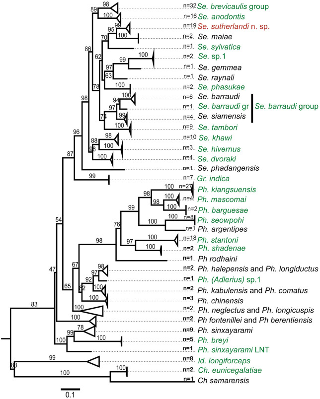 Fig 2