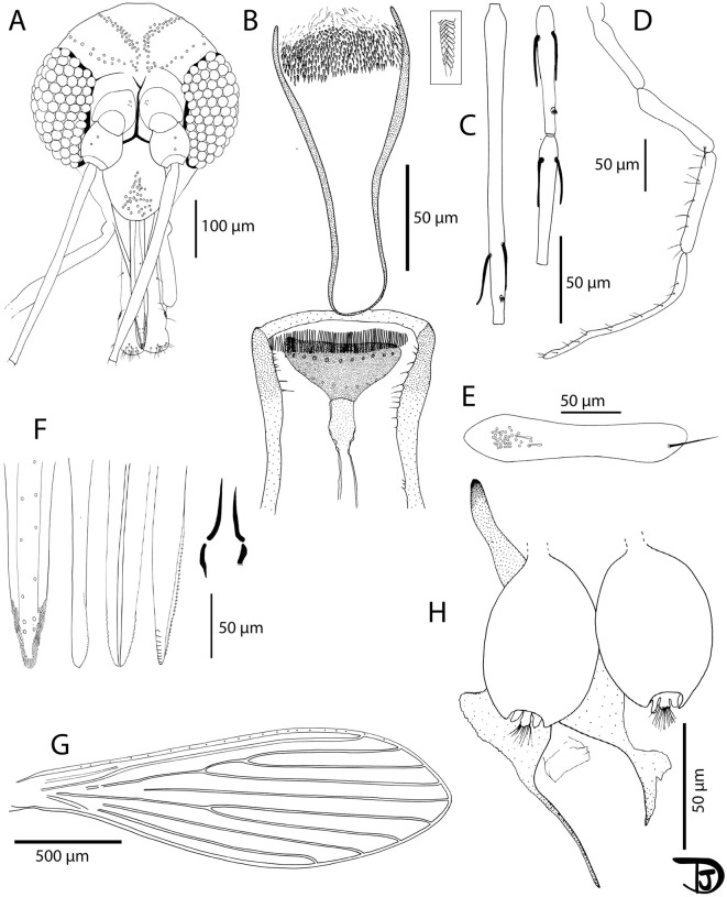 Fig 5
