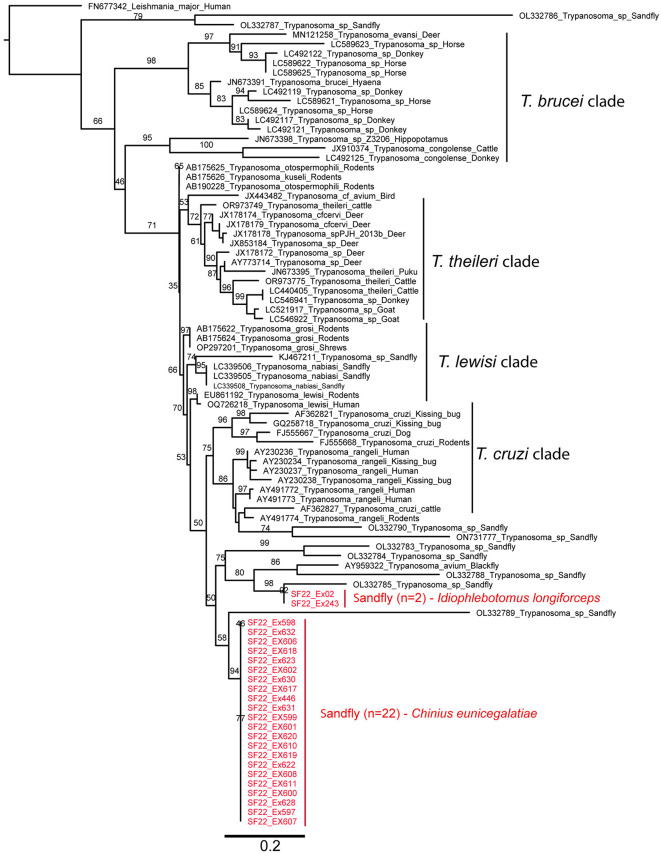 Fig 6