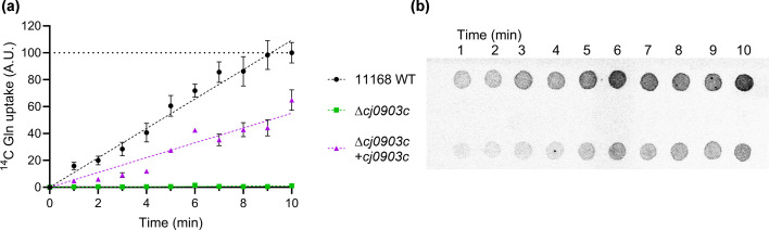 Fig. 4