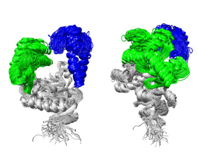 Fig. 3