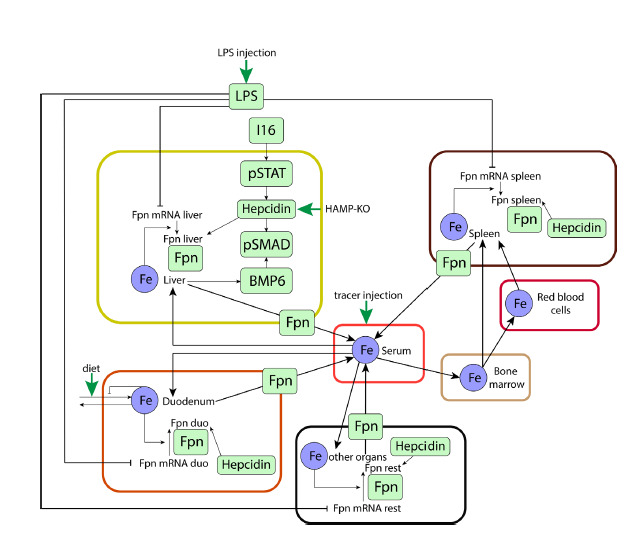 Fig. 3