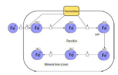 Fig. 5