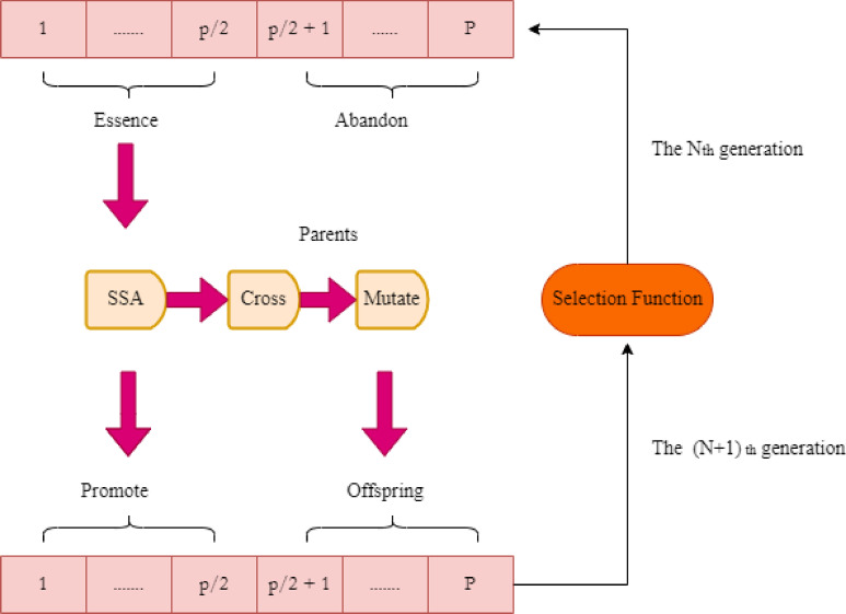 Figure 7