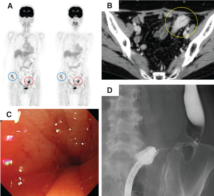 Fig. 4