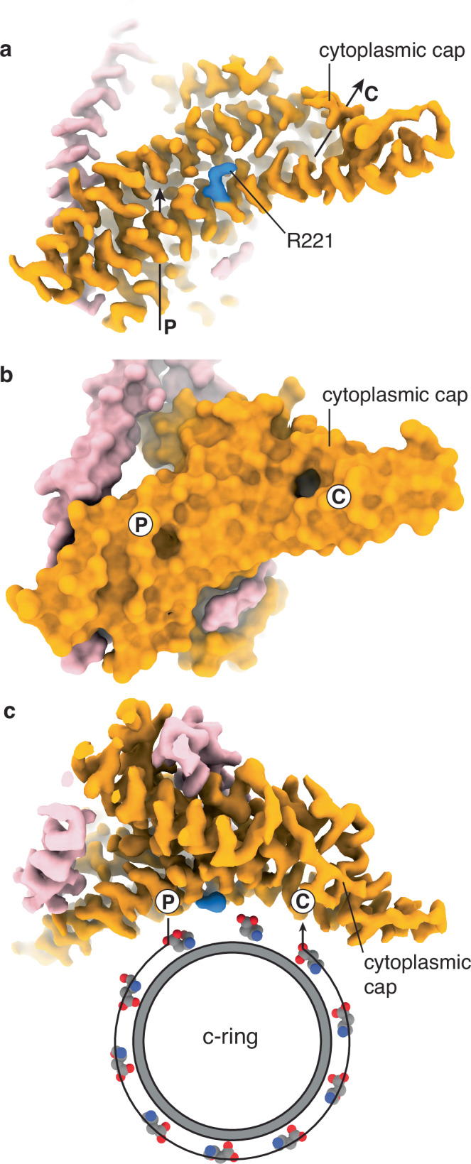 Figure 7