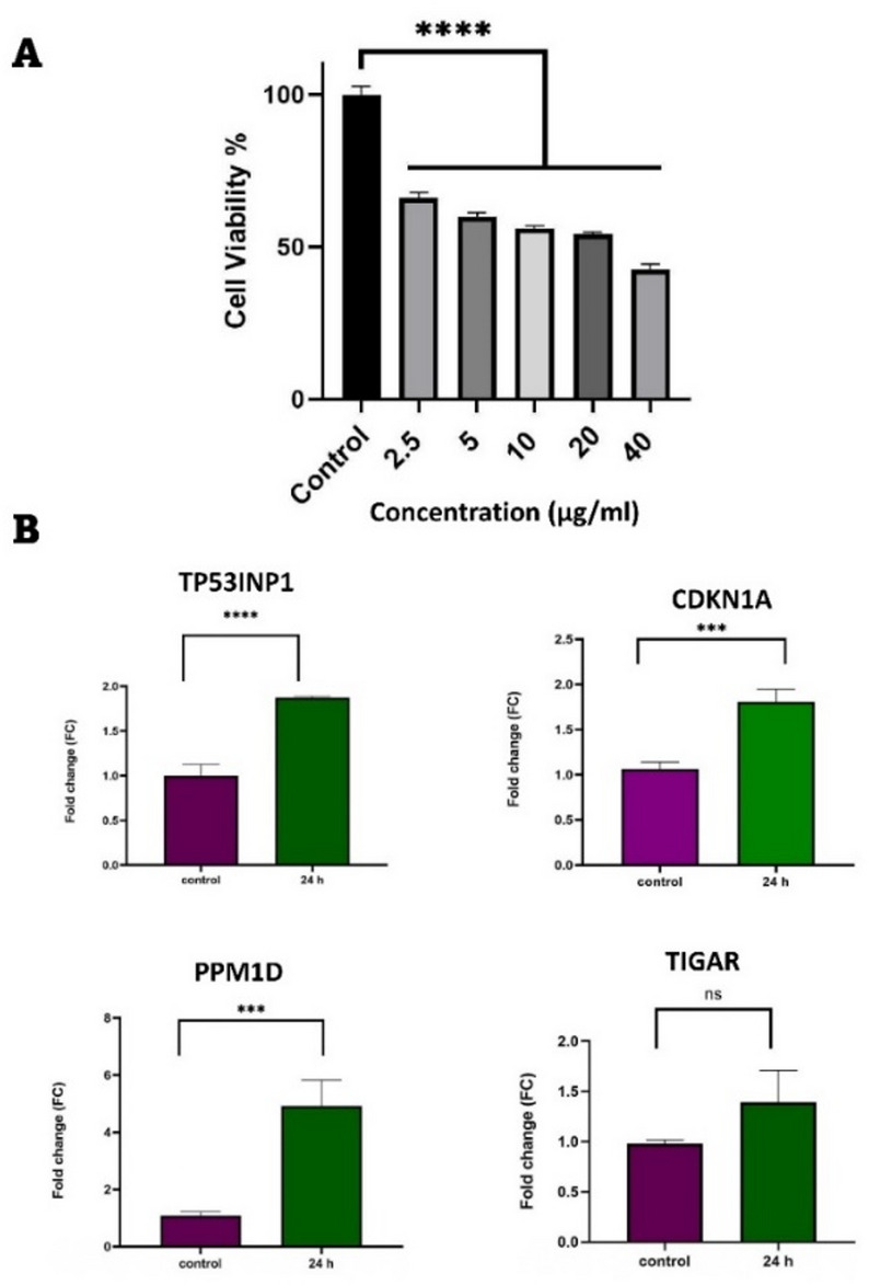 Figure 5