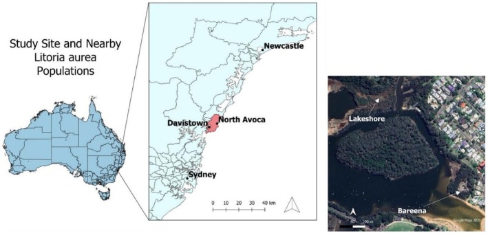 FIGURE 2