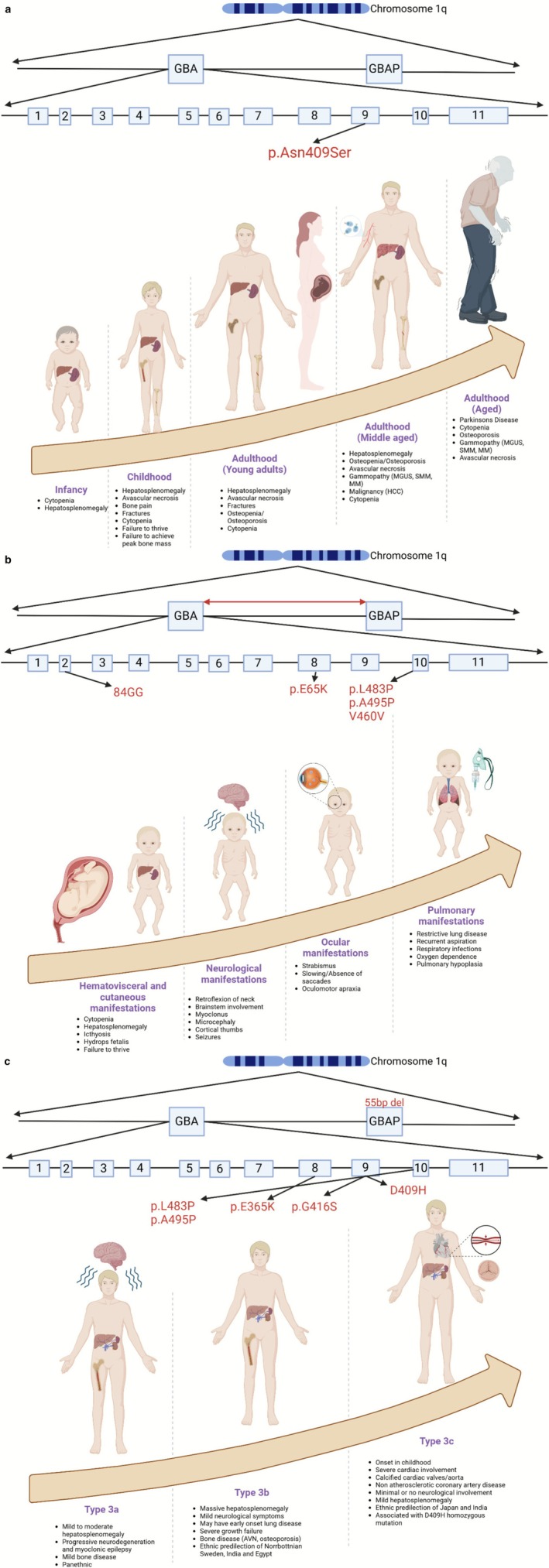 FIGURE 3