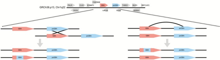 FIGURE 1
