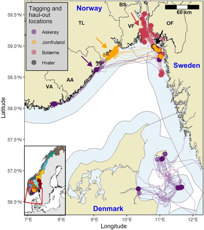 FIGURE 1