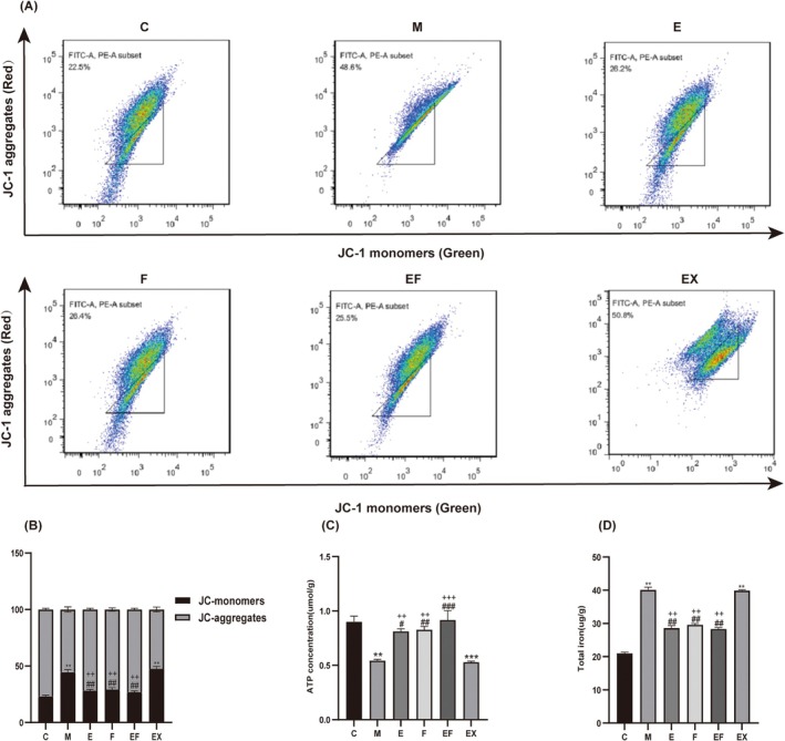 FIGURE 3
