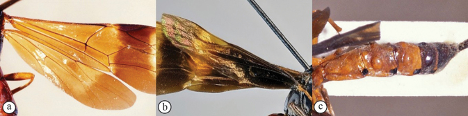 Figure 8