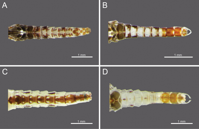 Figure 14
