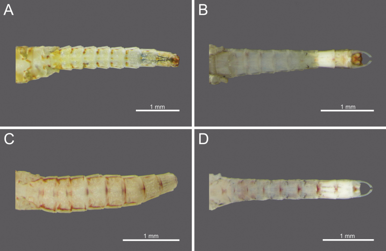 Figure 15