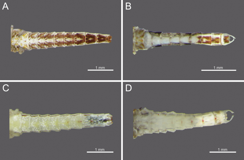 Figure 16