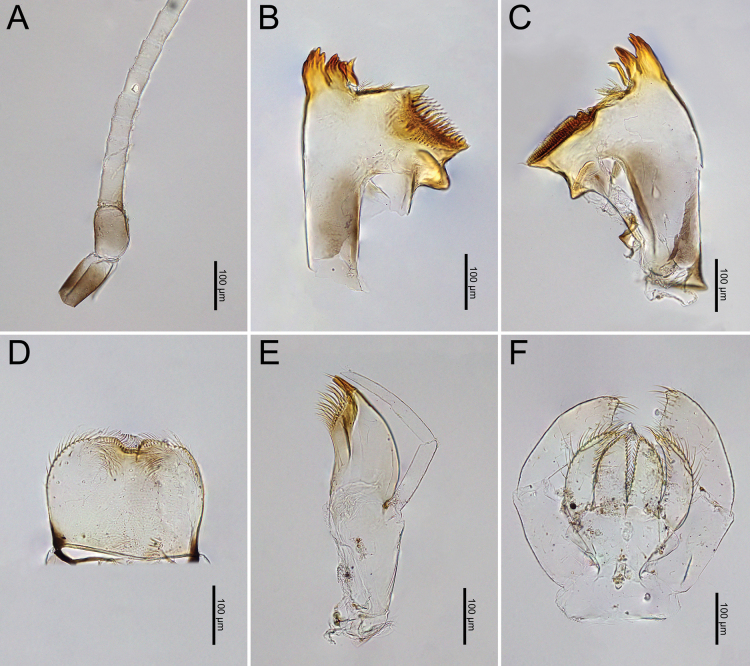 Figure 19