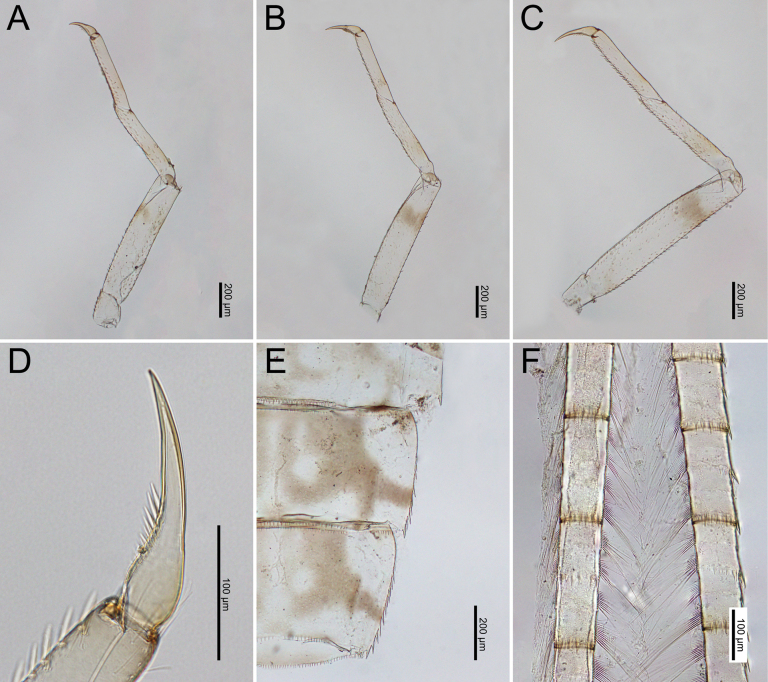 Figure 20
