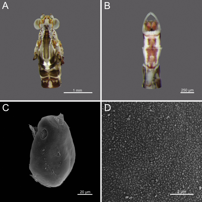 Figure 22