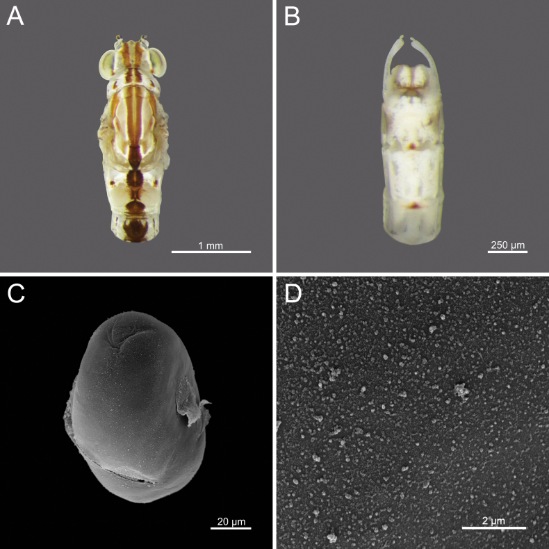 Figure 23