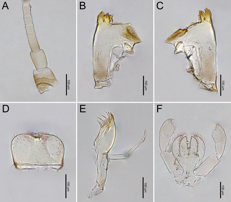 Figure 24