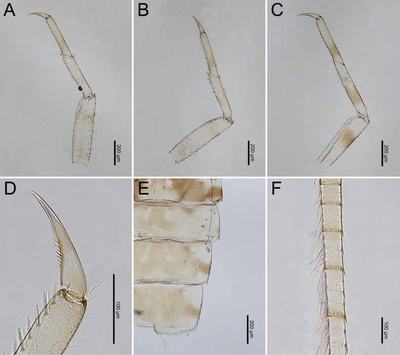 Figure 25